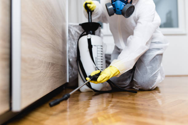 Best Pest Control Near Me  in Hinesville, GA