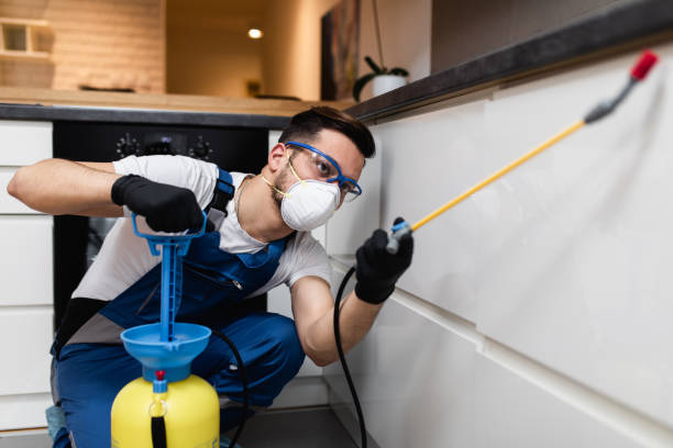 Best Mosquito Control Services  in Hinesville, GA