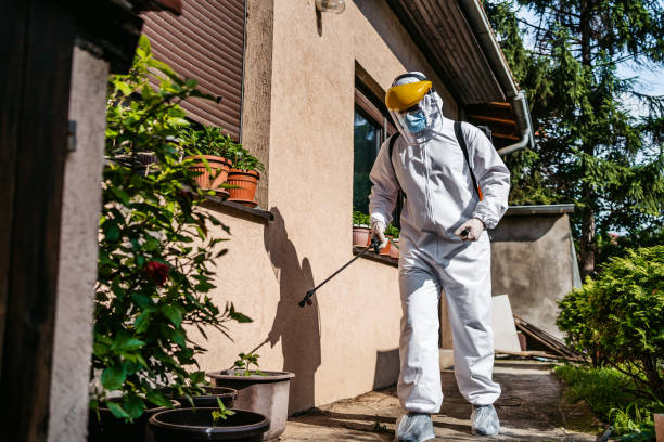 Trusted Hinesville, GA Pest Control Experts