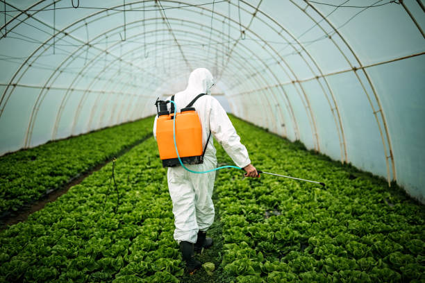 Best Pest Removal Services  in Hinesville, GA