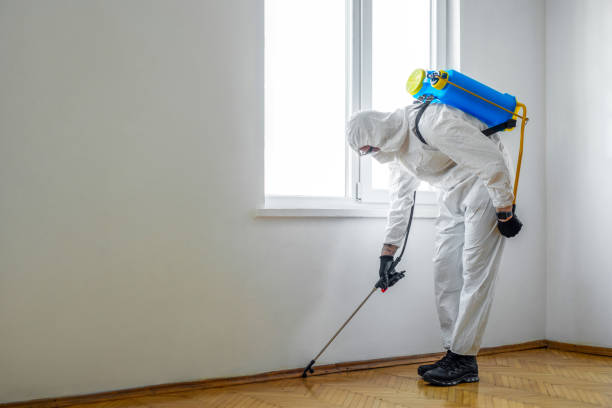 Best Termite Control Services  in Hinesville, GA