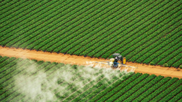 Best Commercial Pest Control Services  in Hinesville, GA