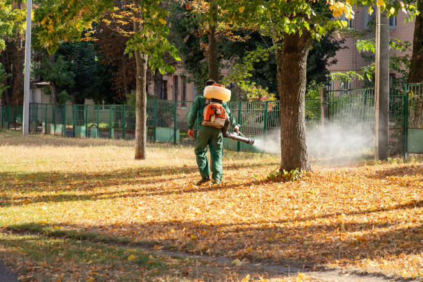 Best Rat Extermination Near Me  in Hinesville, GA