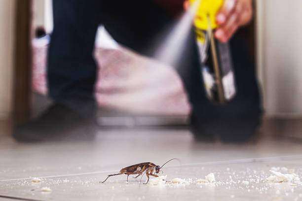 Best Emergency Pest Control  in Hinesville, GA