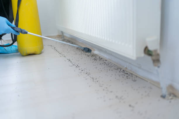 Best Affordable Exterminators  in Hinesville, GA