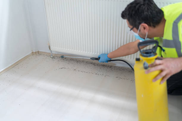 Best Wasp Removal Services  in Hinesville, GA